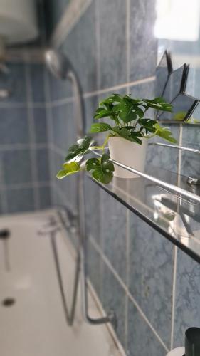 Koupelna v ubytování Vitorlás Apartman
