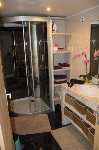 un bagno con doccia e lavandino di les lauriers de Joelle a Peyrolles-en-Provence