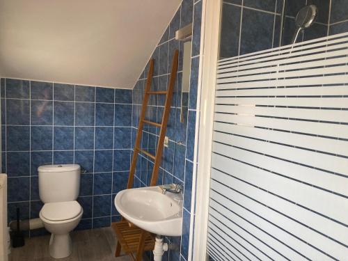 ein blau gefliestes Bad mit WC und Waschbecken in der Unterkunft Appartement 2/3 personnes à 10 minutes de Contis plage (Saint Julien en Born) in Saint-Julien-en-Born