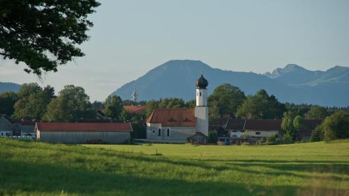 a church with a steeple in a field with a hill in the background at Woidhauserhof in Waakirchen