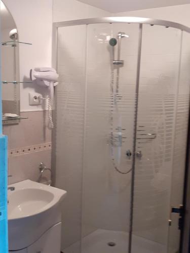 a glass shower in a bathroom with a sink at Pensiunea Natura Sadu in Sibiu