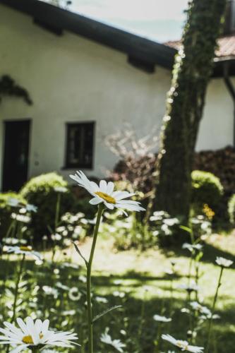 Κήπος έξω από το Gartenwohnung Tausendfreund am Chiemsee