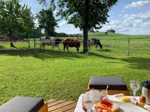 una mesa con un plato de comida y vacas en un campo en Ferienwohnung-Mühlviertel en Oepping