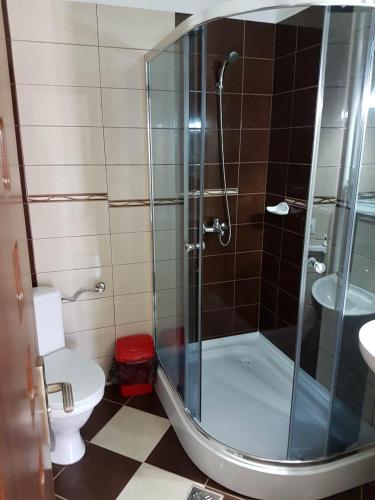 a bathroom with a shower and a toilet at Casa Olanesti in Băile Olăneşti