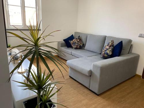 a living room with a couch and a plant at Casas do Baleeiro - Whaler's Houses in Caniçal