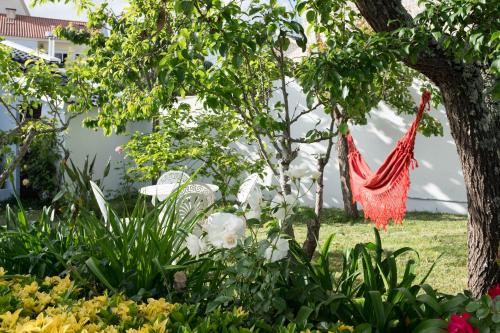 a hammock hanging from a tree in a garden at Moradia em Vilar dos Prazeres in Ourém