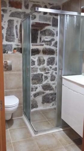 a bathroom with a shower and a stone wall at Apartman Hana in Tivat