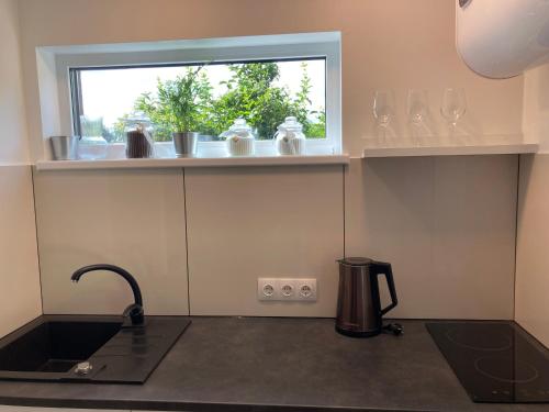 Dapur atau dapur kecil di Saules namiņš