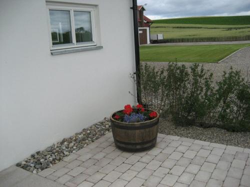 a barrel with flowers in it next to a house at Gårdsboende in Skårby