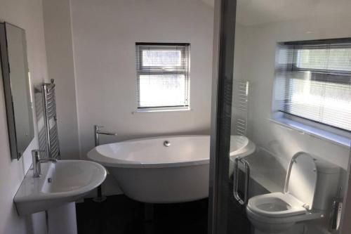 a bathroom with a tub and a toilet and a sink at Apartment with stunning views of Menai Strait. in Menai Bridge