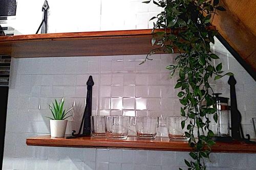 ein Regal mit Brille und eine Pflanze darauf. in der Unterkunft Appartement en duplex - tout confort plein-centre in Lavaur