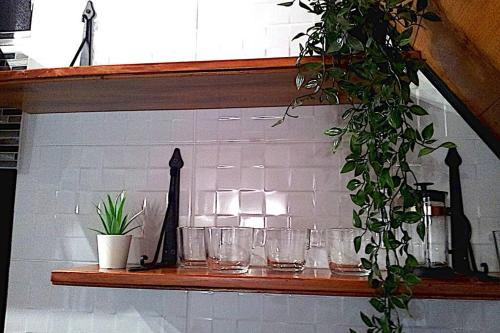 a shelf with glasses and a plant on it at Appartement en duplex - tout confort plein-centre in Lavaur