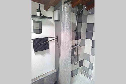eine Dusche im Bad mit einer Glasdusche an der Hintertür in der Unterkunft Appartement en duplex - tout confort plein-centre in Lavaur