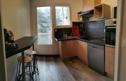 een kleine keuken met een aanrecht en een fornuis top oven bij T2 cosy proche des pistes in Briançon
