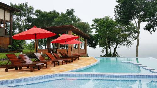 a pool with chairs and umbrellas next to a house at Puro Moconá Lodge in El Soberbio