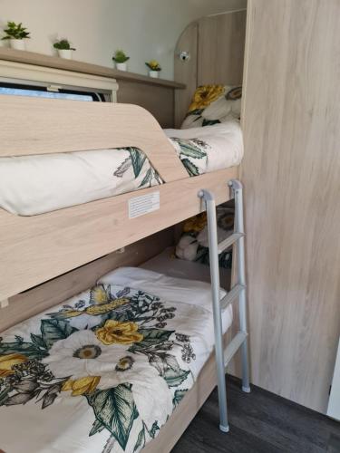 a couple of bunk beds in a room at Caravane tractable in Paliseul