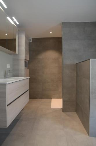 a large bathroom with a sink and a shower at Lavaux 60 in La Roche-en-Ardenne