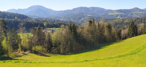 Naturlandschaft in der Nähe der Ferienwohnung