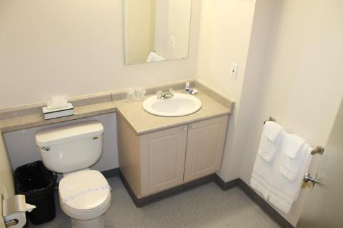 Residence & Conference Centre - Windsorにあるバスルーム