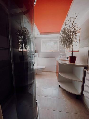 a bathroom with a shower and two potted plants at Długopole Dolne Apartament in Długopole-Zdrój