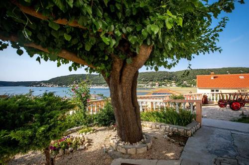 a tree in a garden with a view of the water at Apartments Marija - good location in Supetarska Draga