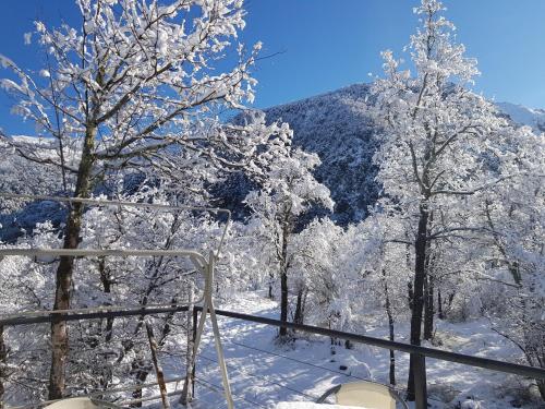 a view of snow covered trees and a mountain at REFUGIO REHUE in Nevados de Chillan