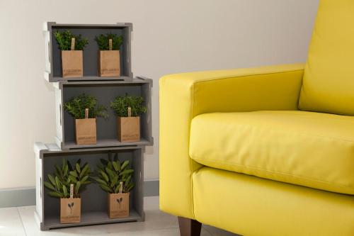 a yellow chair and a shelf with potted plants at Hotel Helvetia in Lido di Jesolo