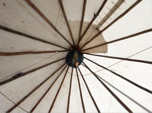 Gambar di galeri bagi Wacky Stays - unique farm-stay glamping rentals, FREE animal feeding tours di Kaikoura