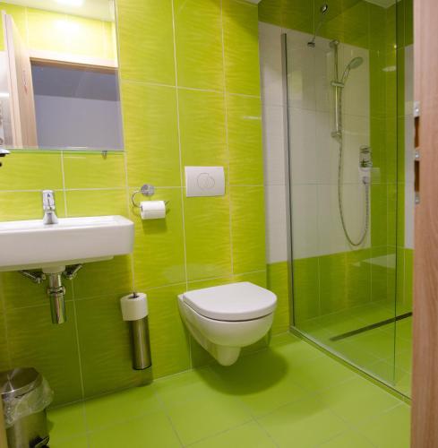 a green bathroom with a toilet and a shower at Chata Emil Zatopek - Maraton - Lysa Hora in Krásná