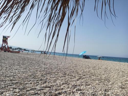 a beach with a palm tree and the ocean at Mansion of 120 m2, with high ceilings and big yard in Evangelístria