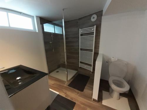 een badkamer met een douche, een toilet en een wastafel bij Agréable studio à 5 mn à pied de la mer in Langrune-sur-Mer