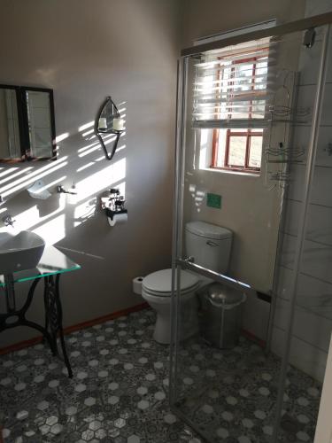 a bathroom with a shower and a toilet and a sink at The Fat Mulberry Guest Farm in Fouriesburg