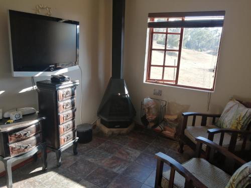 a living room with a flat screen tv and a fireplace at The Fat Mulberry Guest Farm in Fouriesburg