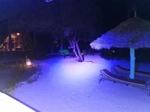 a park with two benches and an umbrella at night at COCO REEF ECOLODGE in Kizimkazi