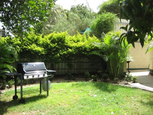 Un jardín fuera de Star Inn Accommodation