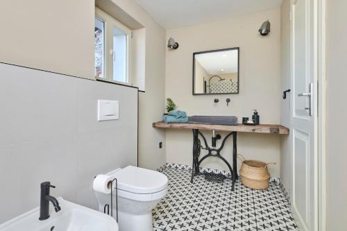 a bathroom with a toilet and a sink and a mirror at VILLA MEDITERANEA in Umag