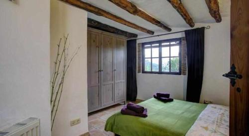 Un dormitorio con una cama verde y una ventana en Casa Rural Villa Sila, en Benalauría