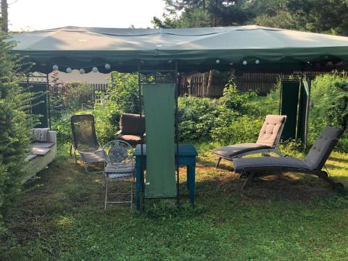 Taman di luar Wilaneska Prośno