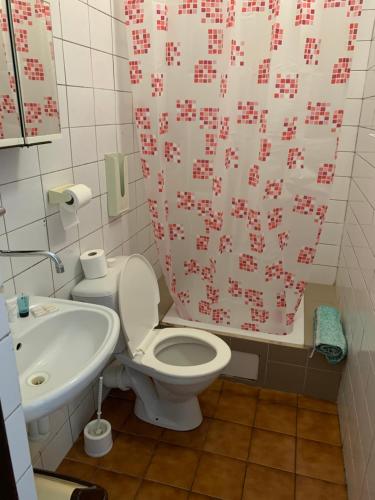 a bathroom with a white toilet and a sink at Chata Primula in Zuberec