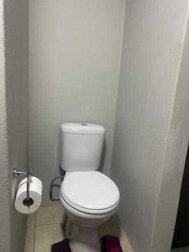 a bathroom with a white toilet in a stall at Ndzuti Guest House in Witbank