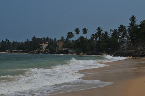 a beach with palm trees and the ocean at VillaWatuna in Unawatuna