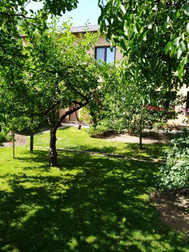 Un jardín fuera de Ubytování Bludov u lázní