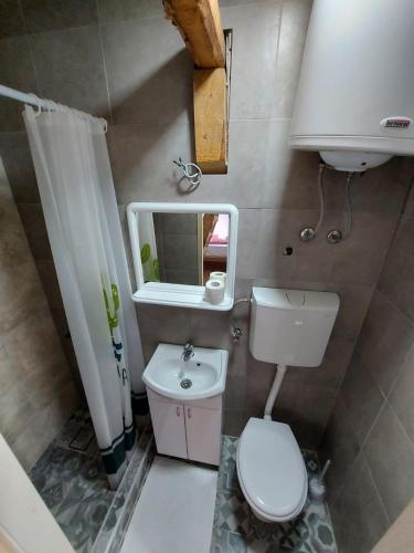 a small bathroom with a toilet and a sink at Konak Dobri Potok in Krupanj