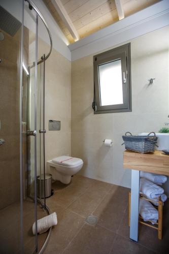 a bathroom with a toilet and a glass shower at Théa boutique villas sivota I in Sivota