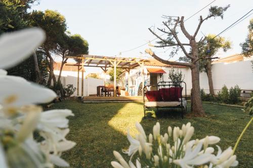 a yard with a chair and a tree at Hospedium Hostel República Surf House in Ericeira