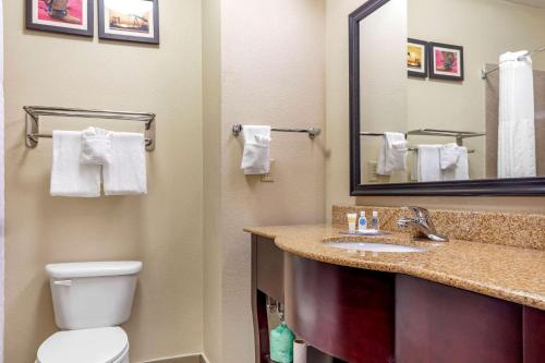 a bathroom with a toilet and a sink and a mirror at Comfort Inn Near UNT in Denton