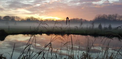 a person standing on the edge of a pond at sunset at Ranč Orlice in Třebechovice pod Orebem