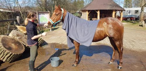 a woman standing next to a horse wearing a blanket at Ranč Orlice in Třebechovice pod Orebem