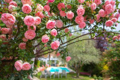 Κήπος έξω από το Hôtel Spa - Au Charme Rabelaisien