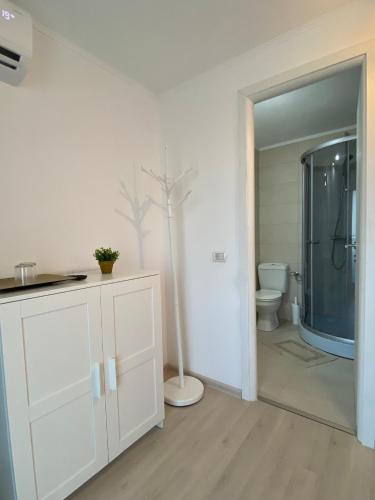 a bathroom with a shower and a toilet in it at Four Rooms in Curtea de Argeş